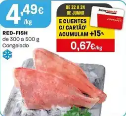 Intermarché Red Fish promoção