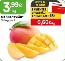 Intermarché Manga "avião" promoção