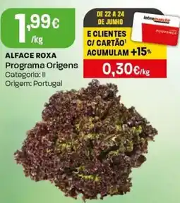 Intermarché Alface roxa Programa Origens promoção