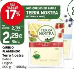 Intermarché Queijo flamengo Terra Nostra promoção