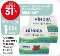 Intermarché Iogurte s/lactose Mimosa promoção