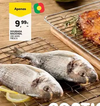 Continente Dourada nacional fresca promoção