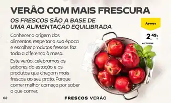 Continente Nectarina promoção