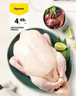 Continente Pato inteiro fresco promoção
