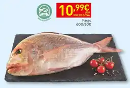 Recheio Pargo 600/800 promoção