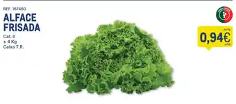 Makro Alface frisada promoção