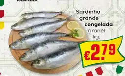 Bolama Sardinha grande congelada granel promoção
