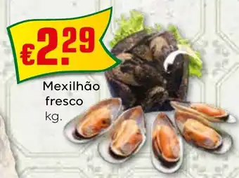 Bolama Mexilhão fresco promoção