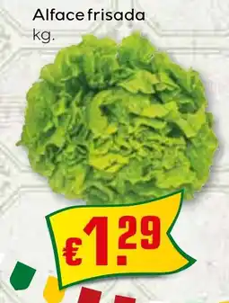 Bolama Alface frisada promoção
