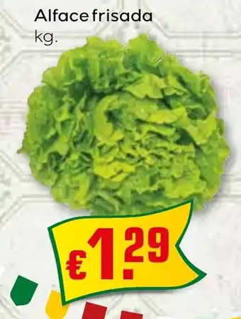 Bolama Alface frisada promoção