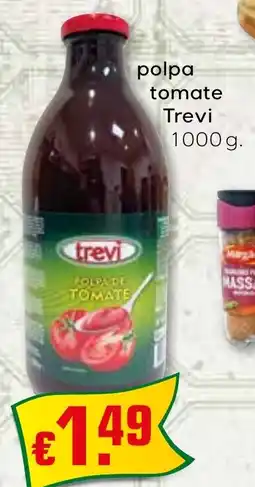 Bolama polpa tomate Trevi promoção