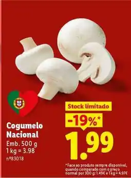 Lidl Cogumelo Nacional promoção