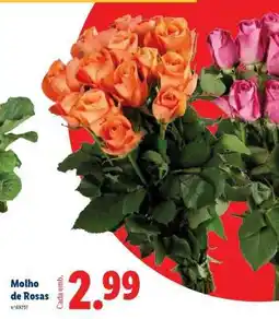 Lidl Molho de Rosas promoção