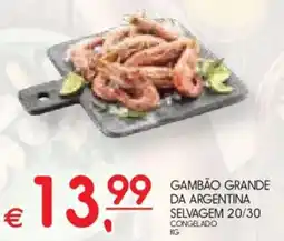 Meu Super Gambão grande da argentina selvagem 20/30 congelado promoção