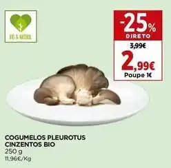 El Corte Inglés Cogumelos pleurotus cinzentos bio promoção