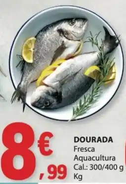 E.Leclerc Dourada promoção