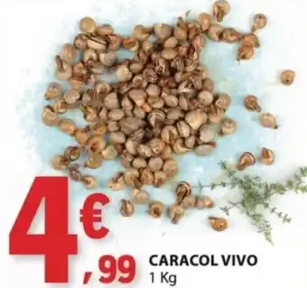 E.Leclerc Caracol vivo promoção