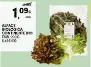 Continente Bom dia Continente bio - alface biologica promoção