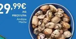 Recheio Ameijoa macha promoção