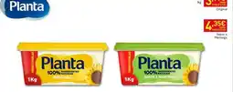 Recheio Planta - olio 100% italia promoção