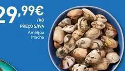 Recheio Ameijoa macha promoção