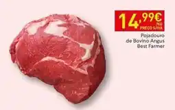Recheio Angus - pojaduro de bovino angus best farmer promoção