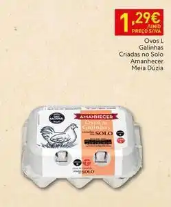 Recheio Amanhecer - ovos l galinhas criadas no solo promoção