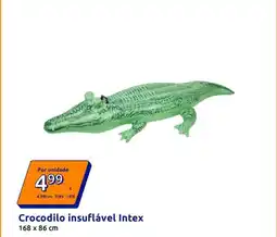 Action Intex - crocodilo insuflável promoção