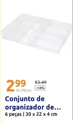 Action Conjunto de organizador promoção
