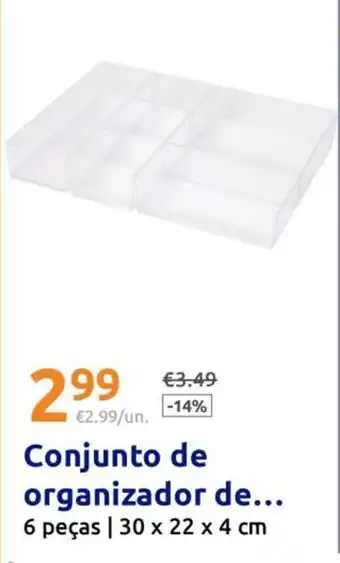 Conjunto de organizador