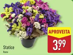 ALDI Statice promoção