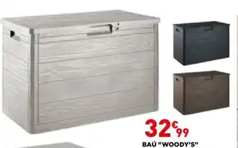 Bricomarché Baú "Woody's" 77,5x44,5x53cm promoção