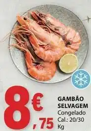 E.Leclerc Gambão selvagem promoção