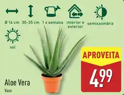 ALDI Aloe Vera Vaso promoção