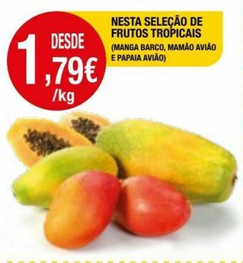 Intermarché Mamão promoção