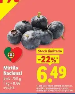 Lidl Nacional - mirtilo promoção