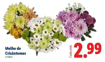 Lidl Molho de Crisântemos promoção