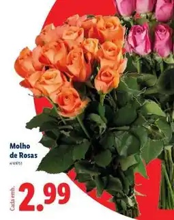 Lidl Molho de Rosas promoção