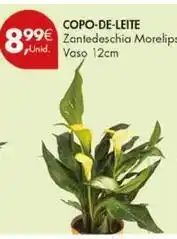 Pingo Doce Copo-de-leite promoção