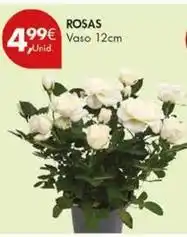 Pingo Doce Rosas promoção