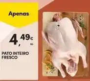 Continente Bom dia Pato - inteiro fresco promoção