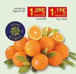 Recheio Algarve - laranja do igp promoção
