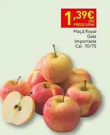 Recheio Royal - maçã gala importada promoção