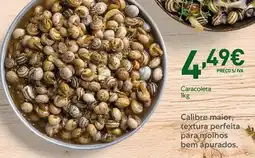 Recheio Calibre-majer, textura perfeita paramolhos promoção