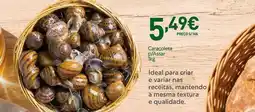 Recheio A+ - idela para criar e variañas recetas, mantencido a mesma textura e qualidado promoção
