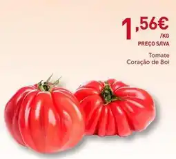 Recheio Tomate coração de boi promoção
