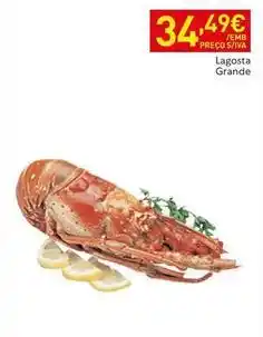 Recheio Lagosta grande promoção