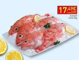 Recheio Canarari caixa promoção