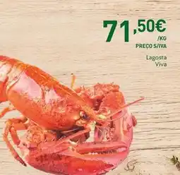 Recheio Lagosta viva promoção