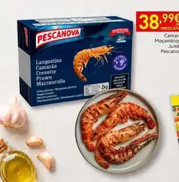 Recheio Pescanova - camar mozambio jum promoção